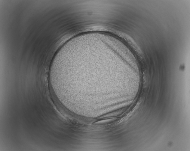 X0000116891225201001191758