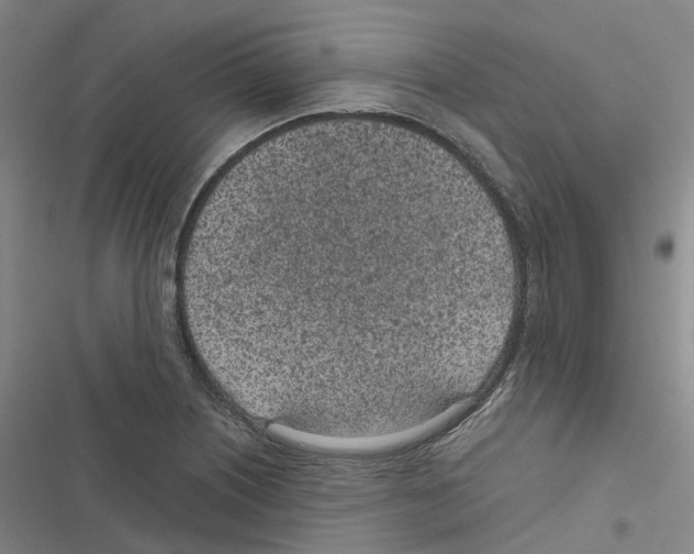 X0000116891226201001191758