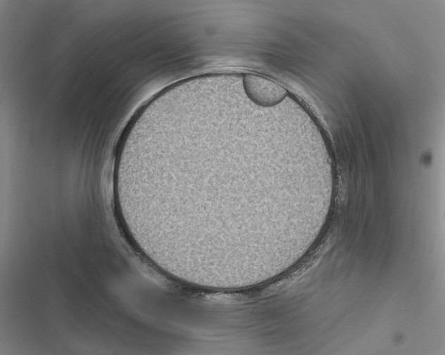 X0000116891227201001191758