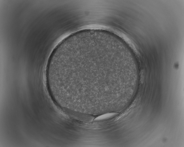 X0000116891229201001191758