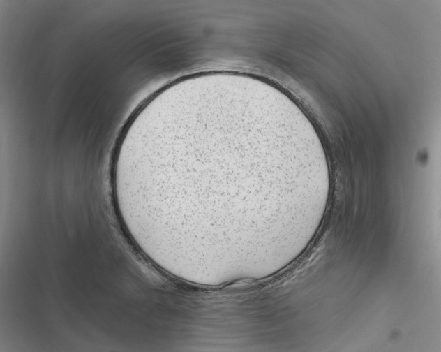 X0000116891230201001191758