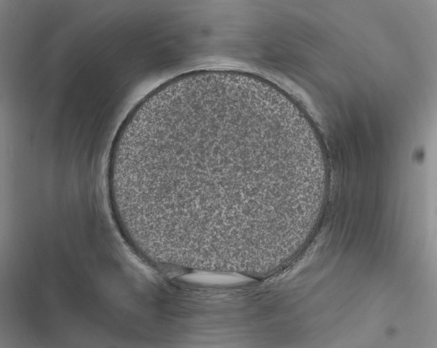 X0000116891231201001191758