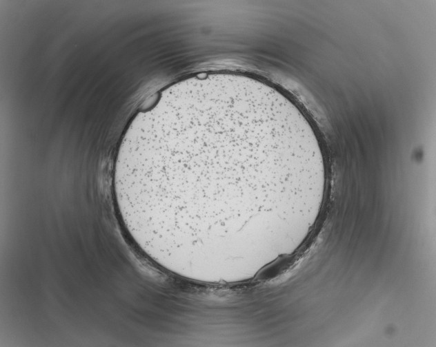 X0000116891233201001191758