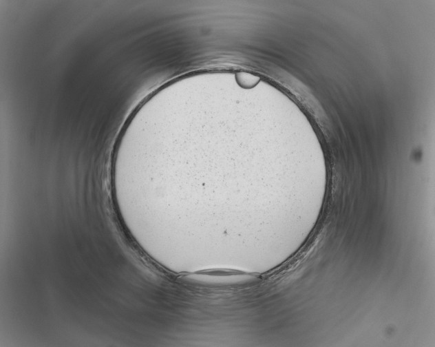 X0000116891234201001191758