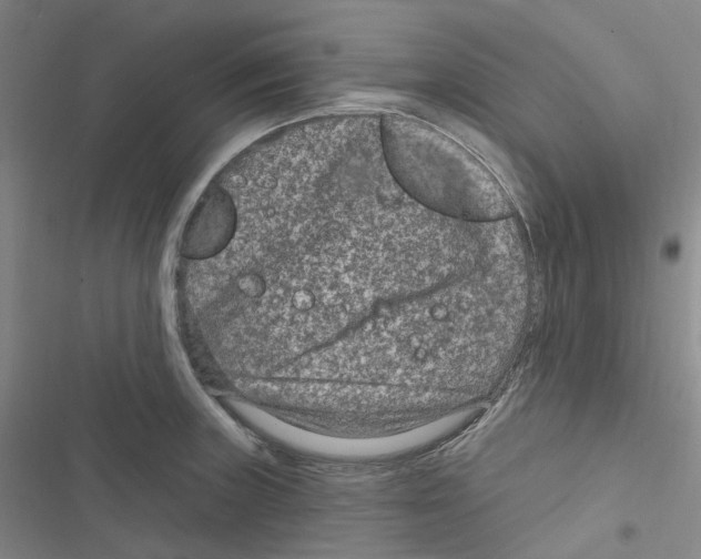 X0000116891235201001191758