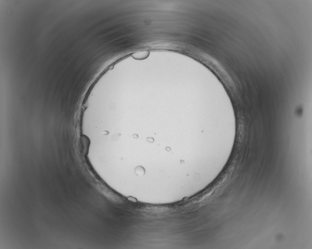 X0000116891236201001191759