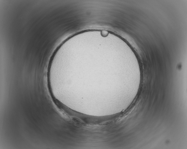 X0000116891237201001191759