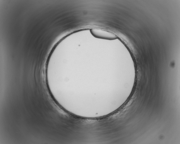 X0000116891238201001191759