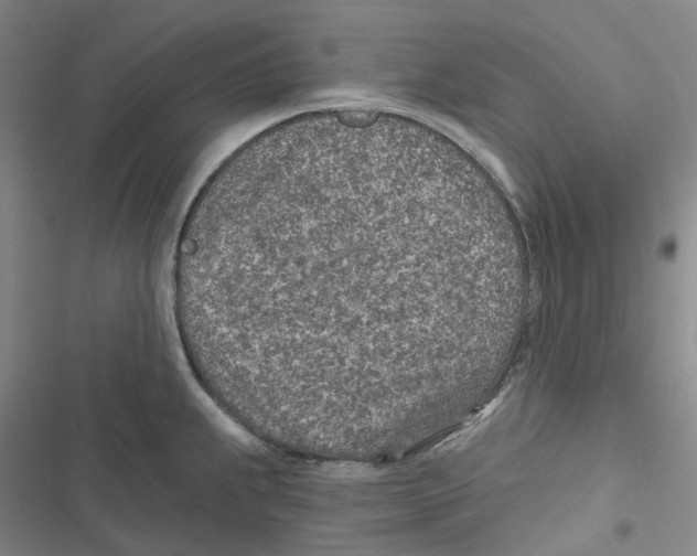 X0000116891239201001191759