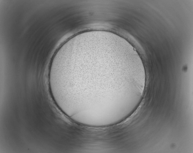 X0000116891240201001191759