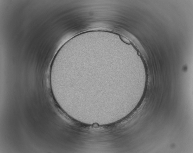 X0000116891242201001191759