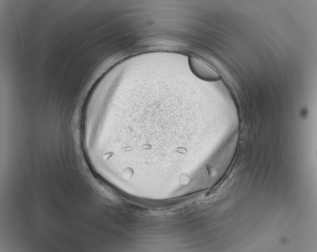 X0000116891243201001191759