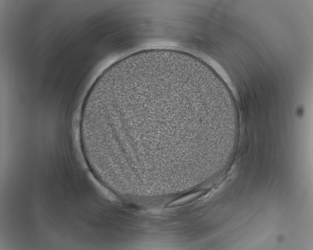 X0000116891245201001191759