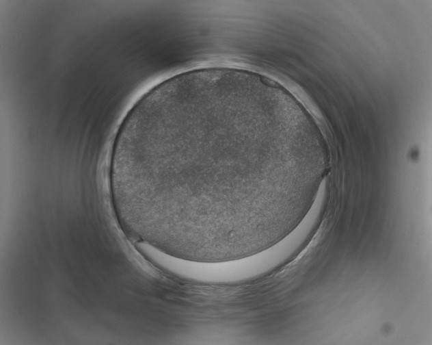 X0000116891246201001191759