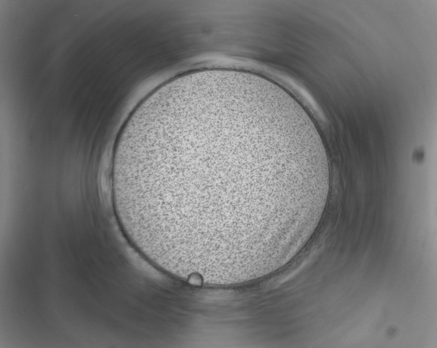 X0000116891247201001191759