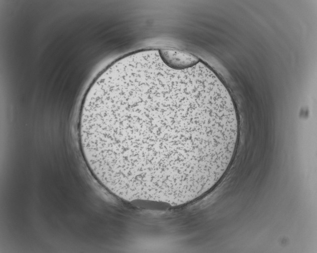 X0000116891248201001191759