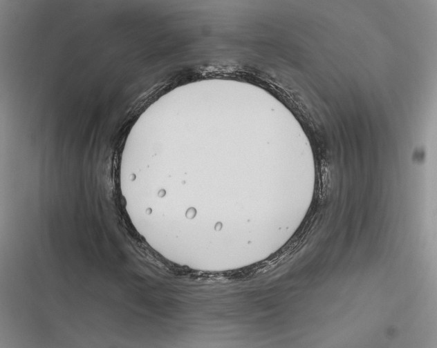 X0000116891250201001191758