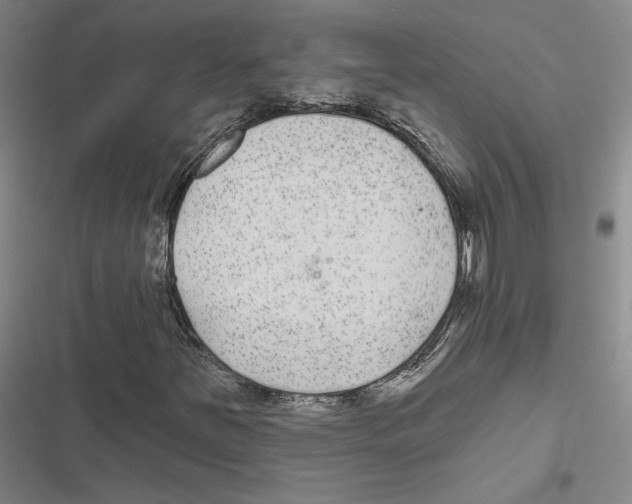 X0000116891251201001191758