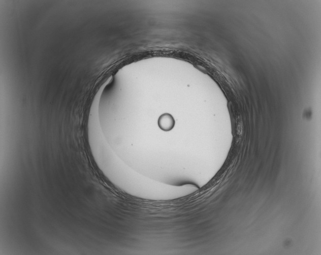 X0000116891252201001191758