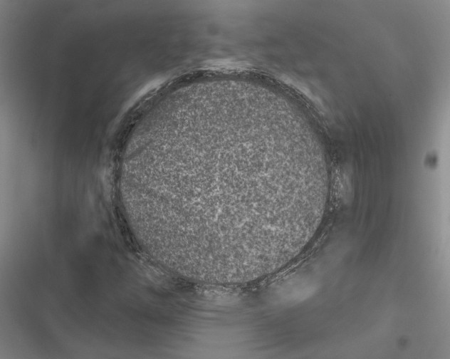 X0000116891254201001191758