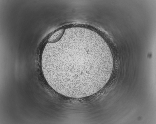 X0000116891255201001191758