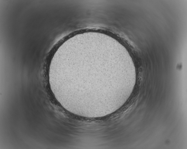 X0000116891256201001191758