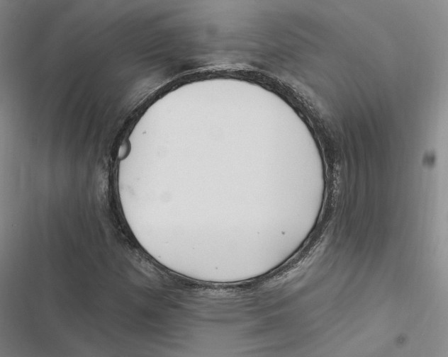 X0000116891257201001191758