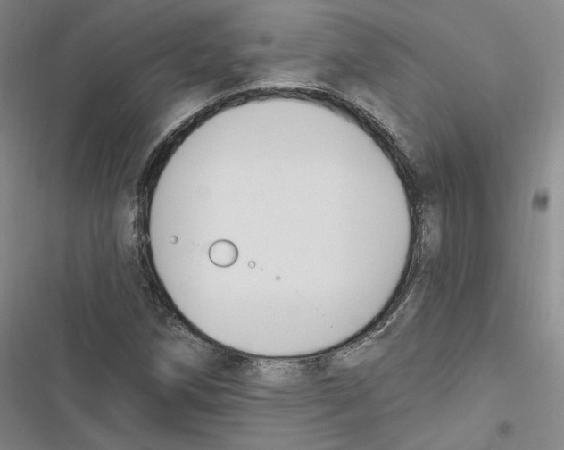 X0000116891258201001191758