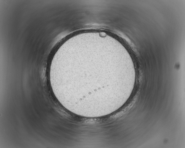 X0000116891259201001191758