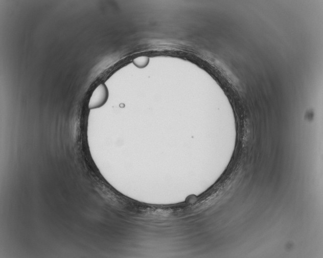 X0000116891261201001191758