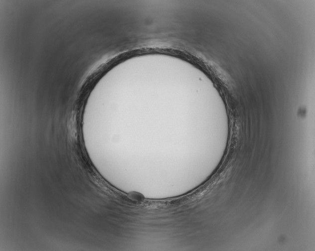 X0000116891262201001191758