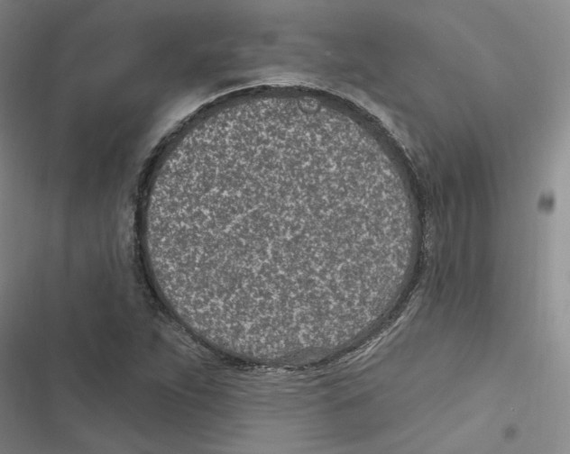 X0000116891263201001191758