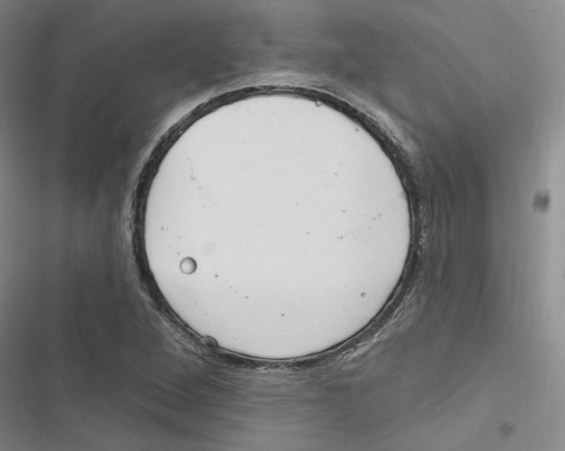 X0000116891264201001191758