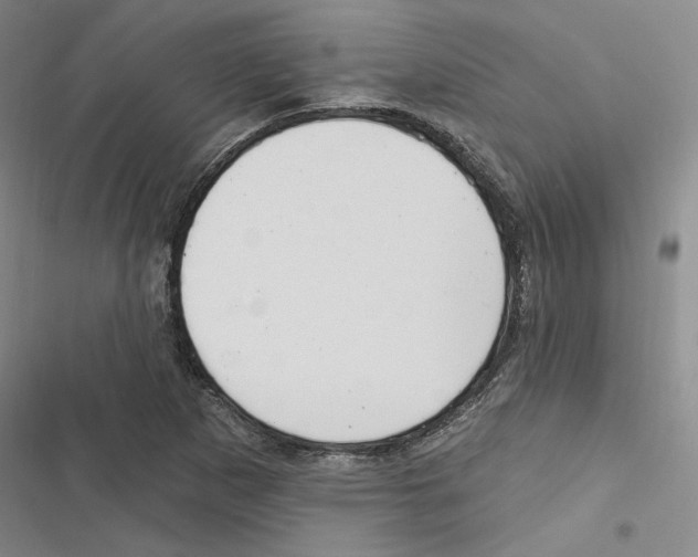 X0000116891265201001191758