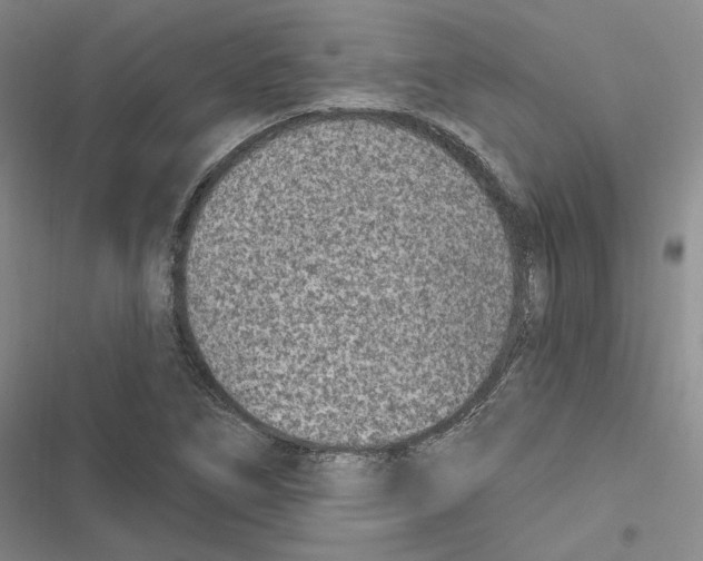 X0000116891266201001191758