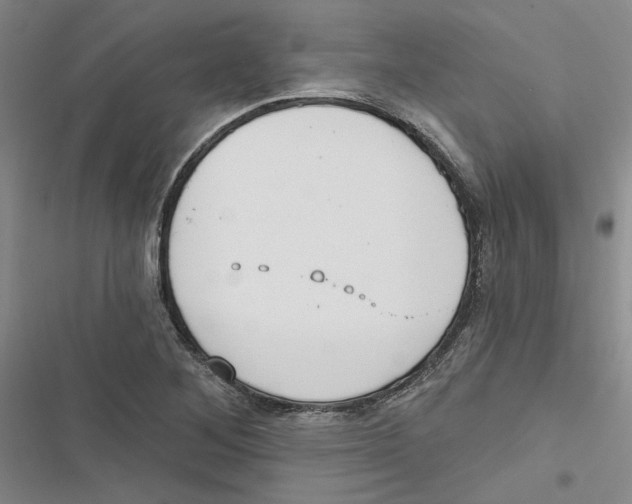 X0000116891268201001191758