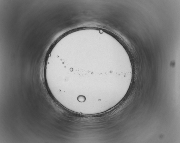 X0000116891272201001191758