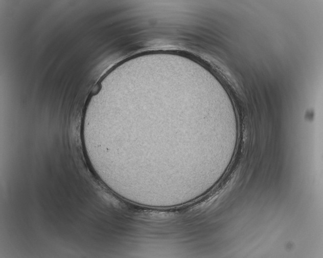 X0000116891273201001191758