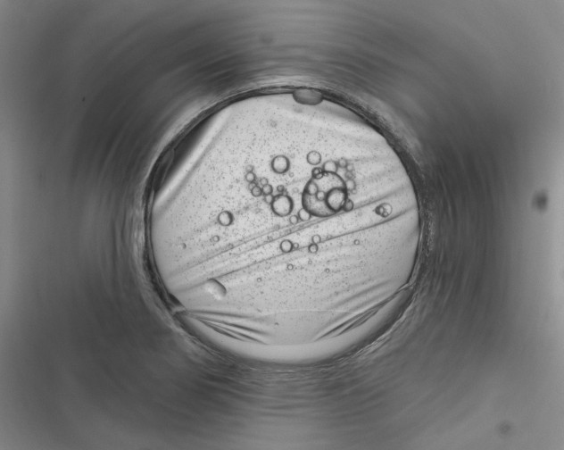 X0000116891274201001191758