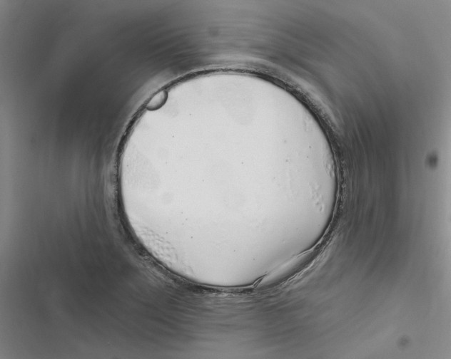 X0000116891275201001191758