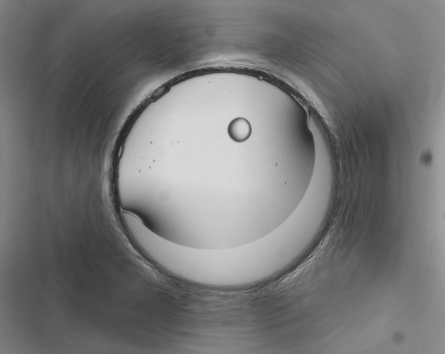 X0000116891277201001191758