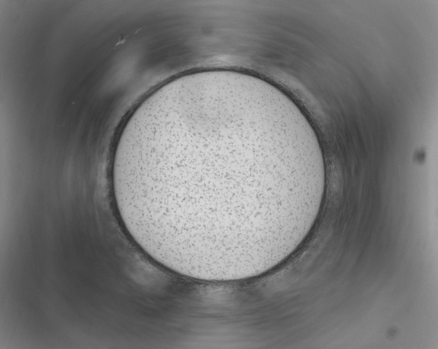 X0000116891278201001191758