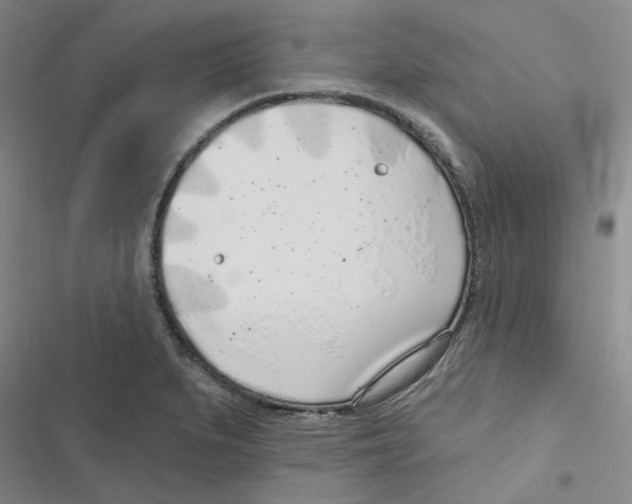 X0000116891279201001191758