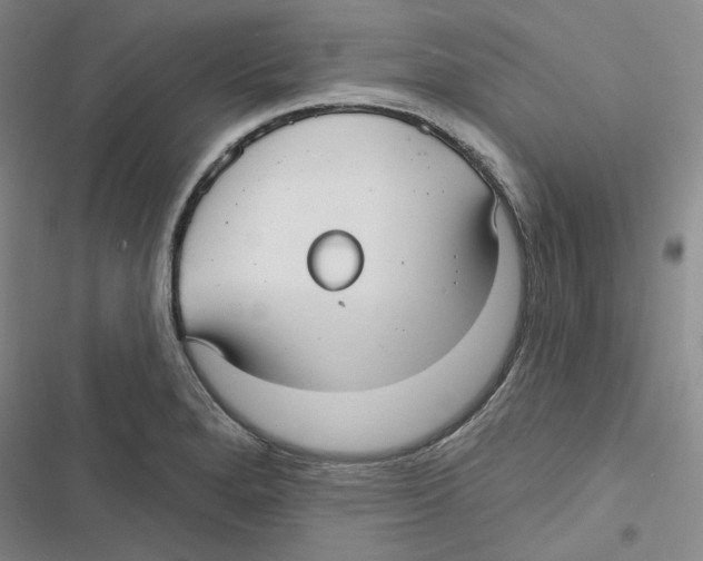 X0000116891280201001191758