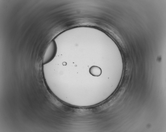 X0000116891281201001191758