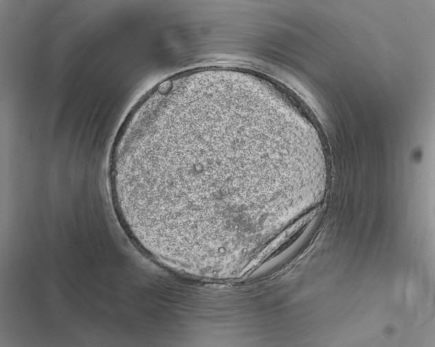 X0000116891283201001191758