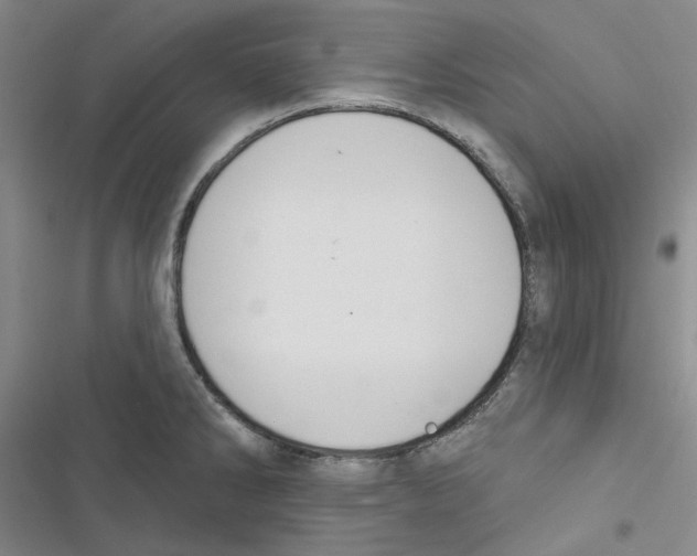 X0000116891286201001191758