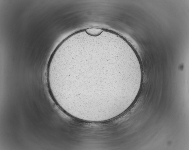 X0000116891287201001191757