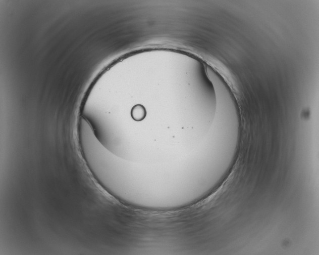 X0000116891288201001191757