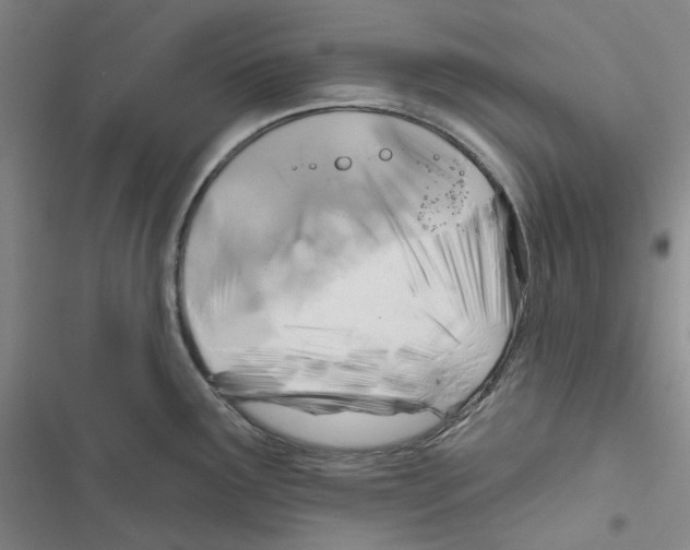 X0000116891291201001191757